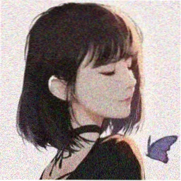 网友头像